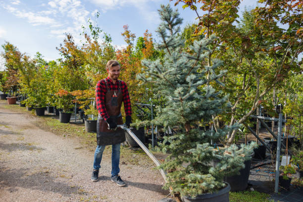 Best Weed Control  in Franklin, NJ